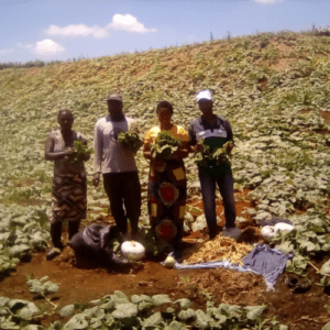 Farming Projects